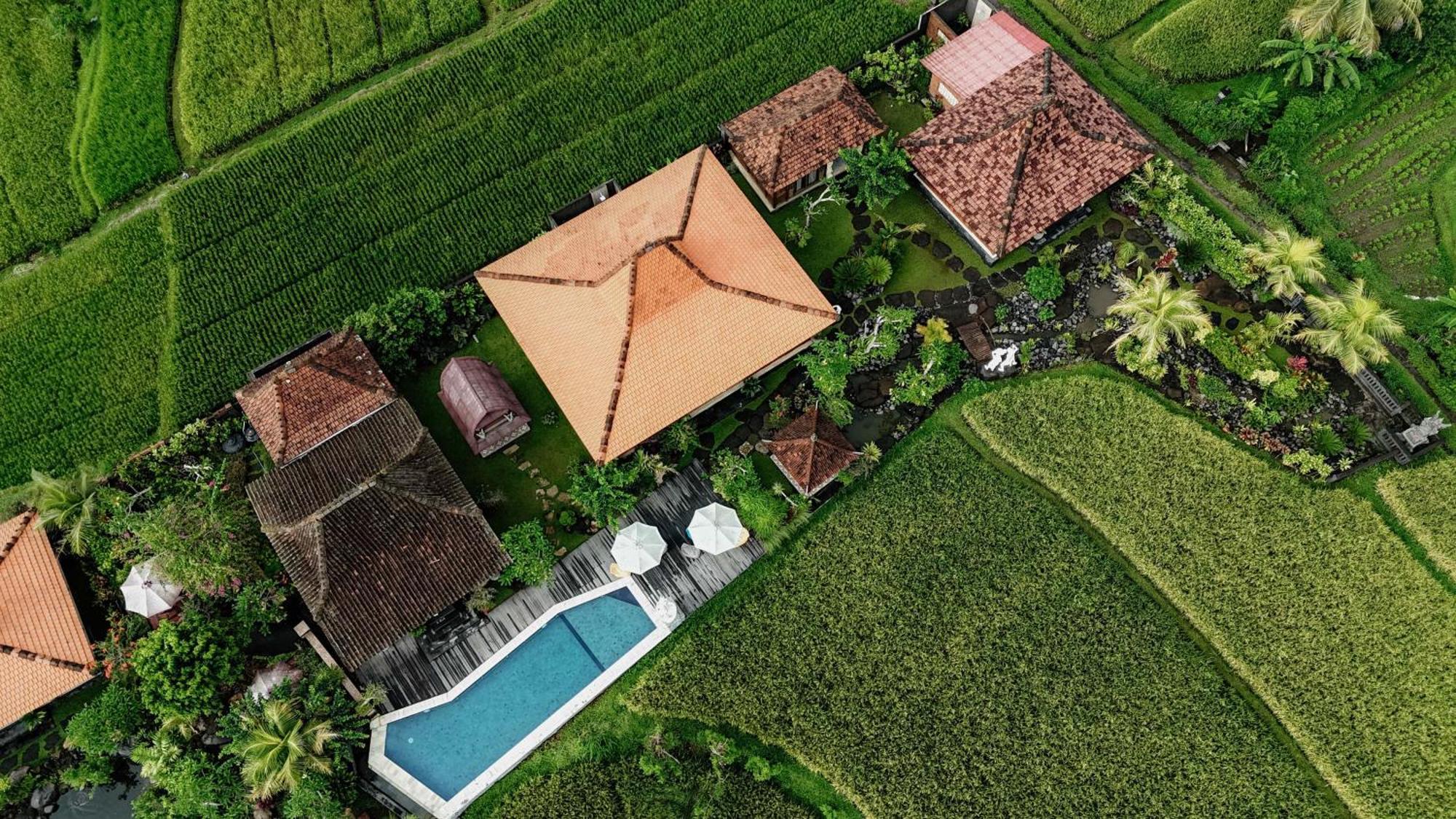 Billys Ayodya Villa *