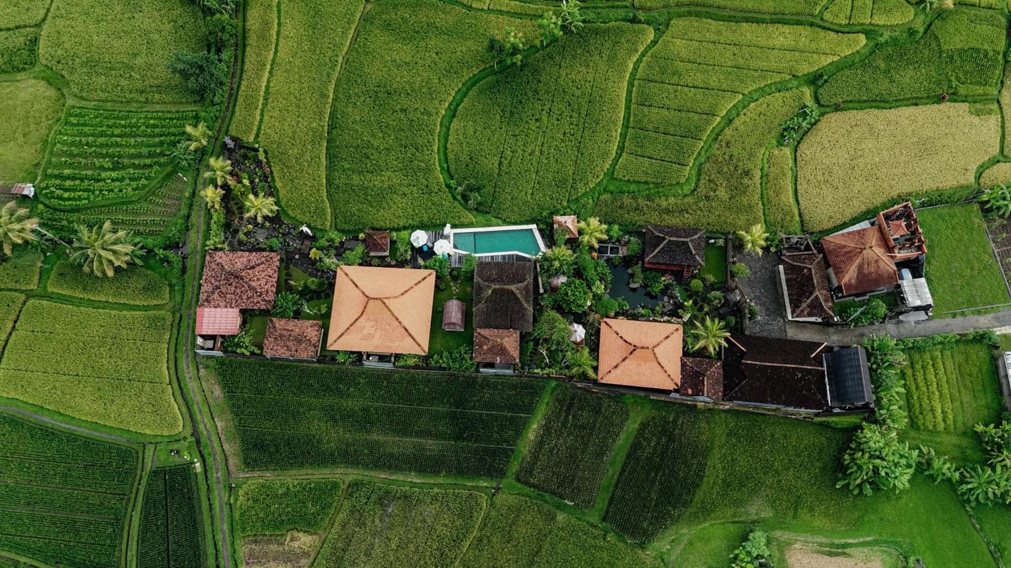 Villa Billys Ayodya