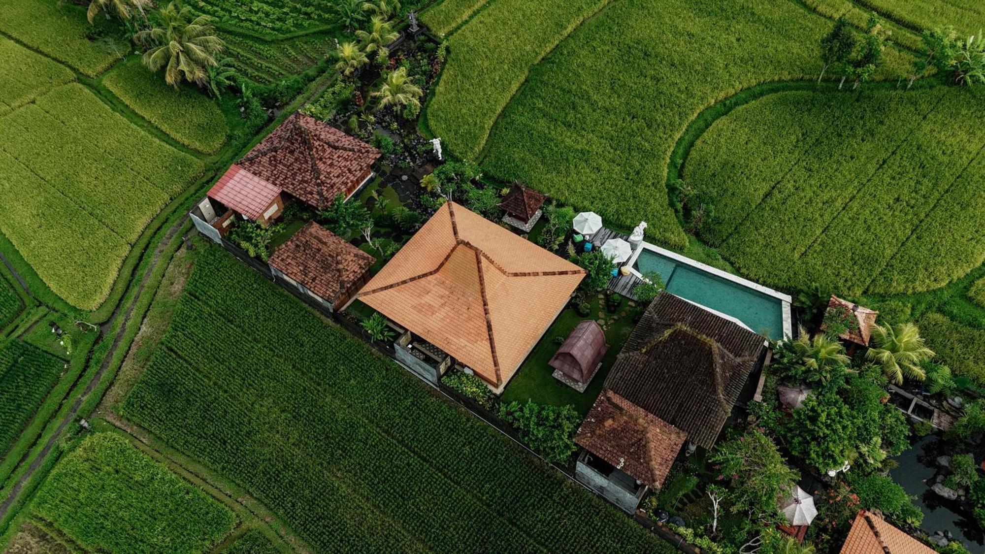 Villa Billys Ayodya *