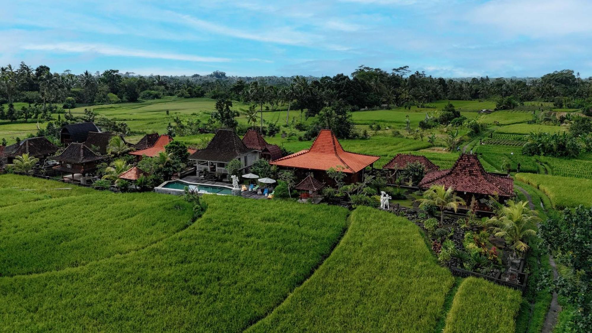 Billys Ayodya Villa Perean